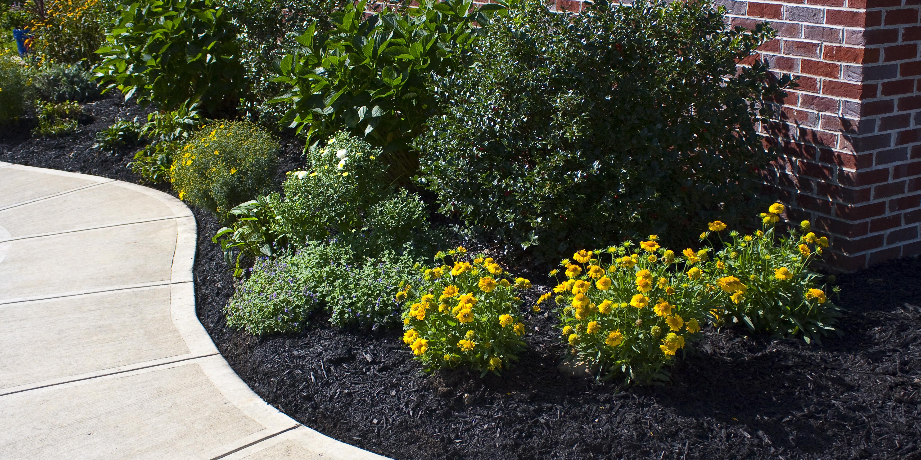 Premium Mulch Dyes & Colorants for Wood Fiber Amerimulch® ChromaScape